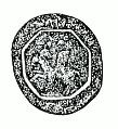 Maîtres d'Angleterre