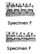 SPECIMEN F