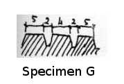 SPECIMEN G
